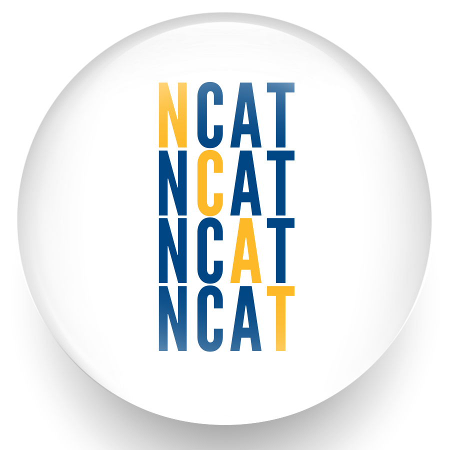 NCAT White Cross Pin
