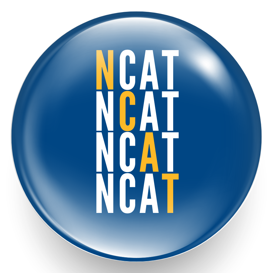NCAT Blue Cross Pin